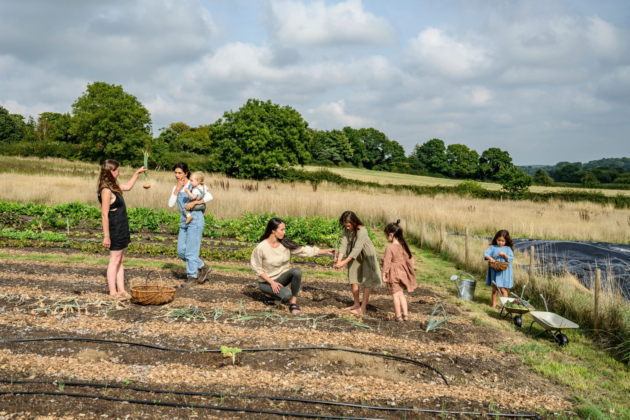 Farmers and families harvesting vegetables together