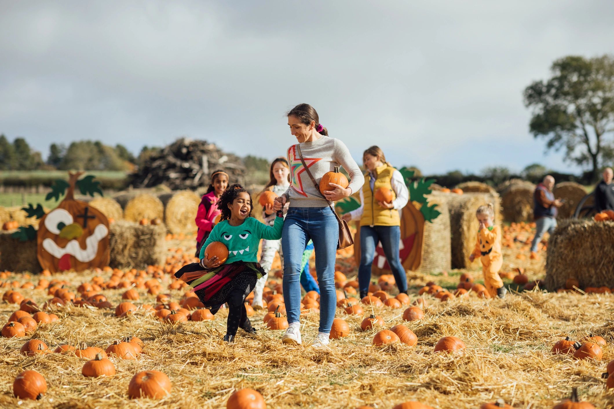 Families harvesting pumpkins together at a farm