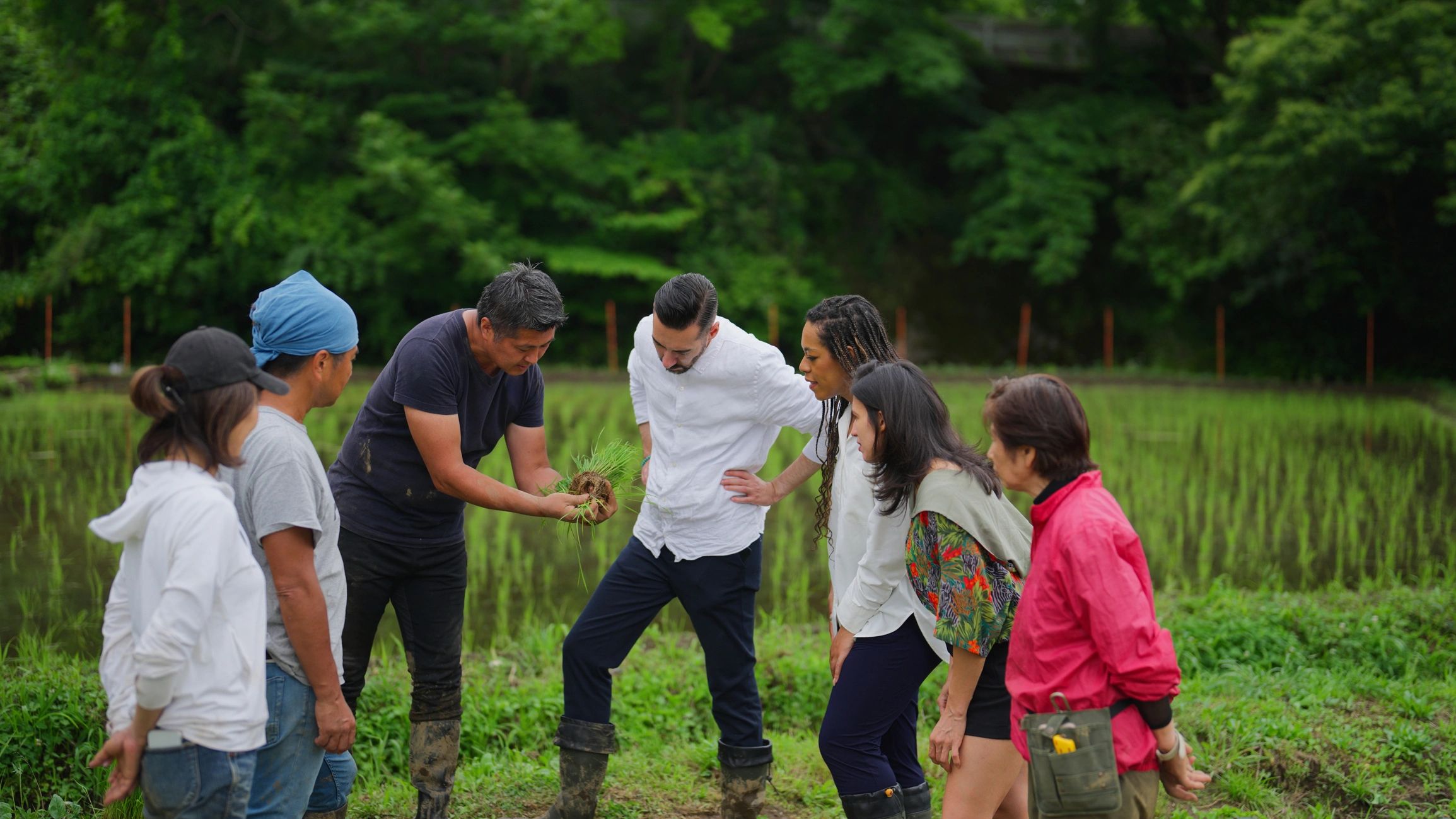 Group learning about farming in a rice field